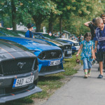 friends_fest_2025_295