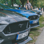 friends_fest_2025_296