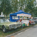 friends_fest_2025_3